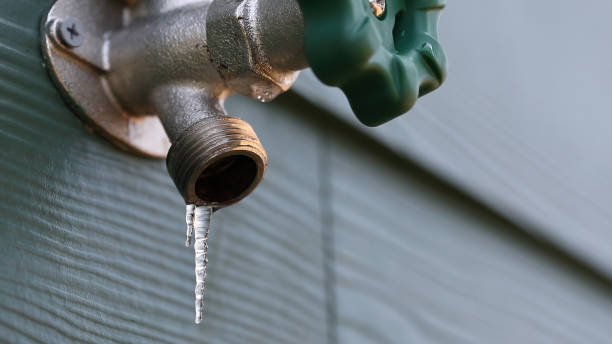 Best Shower Repair Services  in Fkville, AL