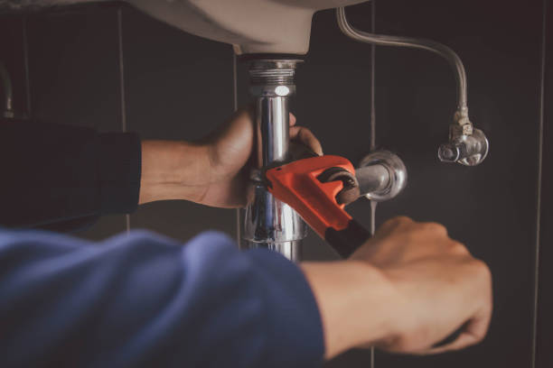 Best Clogged Drain Plumber  in Fkville, AL