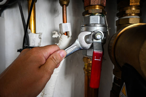 Best Septic Systems  in Fkville, AL